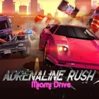 Adrenaline Rush: Miami Drive