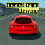 Ferrari Track Driving