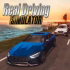 Real Driving Simulator