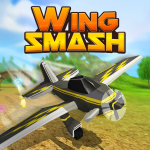 Play Wing Smash now!